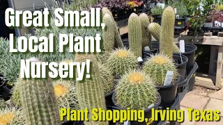 404: Plant Shopping VLOGS: Back At My Local Plant Nursery | Chambers Nursery Garden Center🌵🌱🍃🌿
