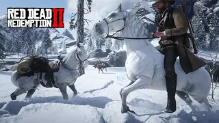 Domando o PURO SANGUE ÁRABE BRANCO - Red Dead Redemption 2