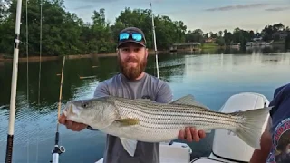 Striper Fishing Smith Mountain Lake - Episode 4