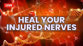 Heal Your Injured Nerves | Relieve Sharp Pain Numbness & Tingling | Nerve Regeneration Music Therapy