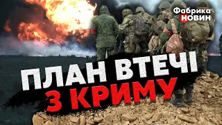 🚀У КРИМУ ЗНИЩАТЬ УСЕ! Подоляк: у РФ особливий ПЛАН ВТЕЧІ - влітку буде КАТАСТРОФА