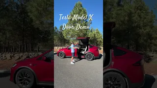 Face Off with 2024 Tesla Model X Falcon Doors #tesla #teslamodelx