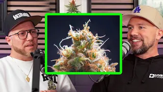 Headgrower Jan Wegner über Strain Hunters, Freundschaft und bestrahltes Gras - Podcast Folge 1