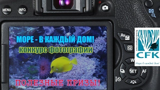 Приглашение к участию в фотоконкурсе