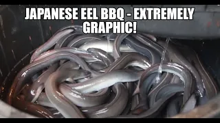 JAPANESE EEL (UNAGI) KABAYAKI [EXTREMELY GRAPHIC-VIEWER BEWARE!]