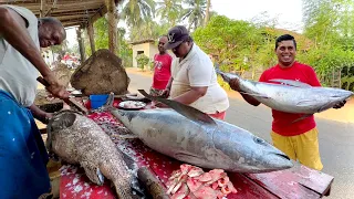 Amazing! Very Fat Man Cut giant Tuna Fish Smoothly | Never Seen Fish Cutting Skills Live