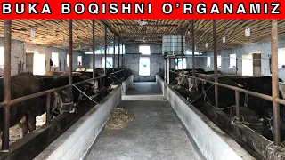 5/ta BUKANI 30/ta BUKAGA KOPAYTIRGAN DEXQON. NOVVOS BOQISH SIRLARI