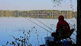 Вторая Рыбалка на Чесночные Пуфики! Рыбалка с Ночевкой на Чигиринском Водохранилище. Лещ на Фидер.