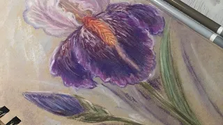 Easy soft pastels or pastel pencils drawing of  Iris flowers.