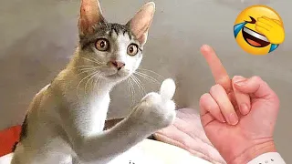 New Funny Animals 2024 🐈🐕 #Funniest Cutest Cats and Dogs🐱😻🐶 Part 10