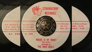 THE WILD SOULS-WHERE IS MY MIND? 1968