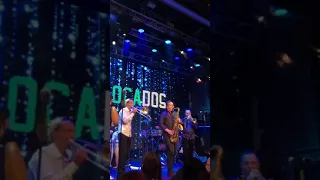 Dislocados live concert August 2019