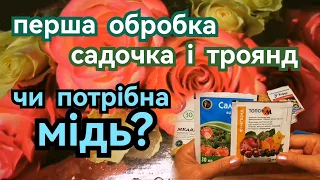 Перша обробка садочка і троянд🌹 від хворіб і шкідників 🔥Роздуми, досвід, рецепти.