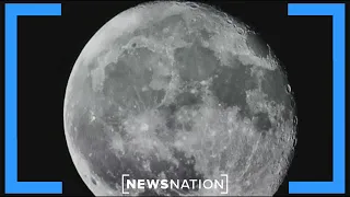 India becomes the fourth country to land on the moon | NewsNation Now