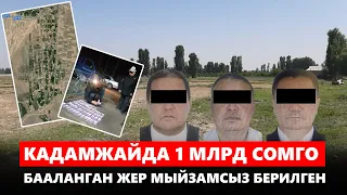 Кадамжайда 1 млрд сомго бааланган жер мыйзамсыз берилген