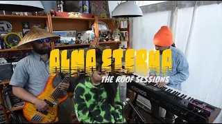 ALMA ETERNA Versions-Erykah Badu "Didn`t Cha Know"-Amy Winehouse "Stronger than Me"THE ROOF SESSIONS