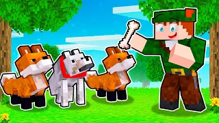 CONSEGUIMOS A FAMÍLIA DE RAPOSAS E LOBOS!! MINECRAFT ERA DA REDSTONE #36