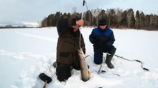 ЖОР ЩУКИ - Евгений в ШОКЕ! Секрет Постановки Жерлиц - день Второй!