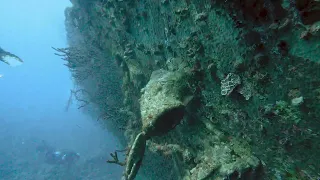 Scuba Diving Hurghada | El Mina Wreck 26.01.22  (January 2022) (4k UHD)