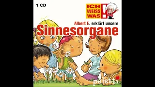 Albert E. erklärt unsere Sinnesorgane