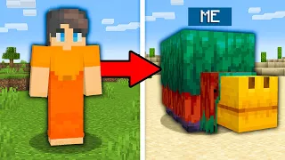 I Pranked My Friend with MORPH MOD in Minecraft