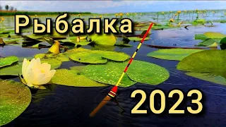 Рыбалка на поплавок 22 июня 2023 г.Дикая рыбалка на карася на поплавочнную удочку.