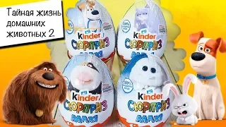 БОЛЬШОЙ КИНДЕР 2019 ТАЙНАЯ ЖИЗНЬ ДОМАШНИХ ЖИВОТНЫХ 2 BIG EGG KINDER SURPRISE THE SECRET LIFE OF PETS