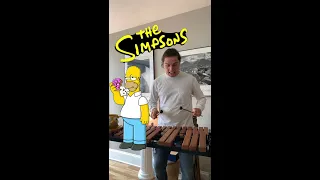 The Simpson’s Theme Song | Xylophone Cover