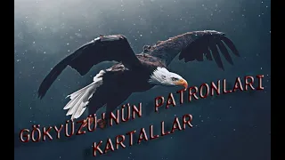 Gökyüzünün Sahipleri: Kartallar!