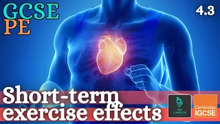 GCSE PE - SHORT TERM EFFECTS OF EXERCISE - Anatomy and Physiology (Energy & Exercise Effects - 4.3)