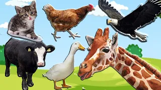 Wild Animals and Domestic Animals Sounds: Dog, Deer, Cheetah, Frog, Eagle, Giraffe, Pig