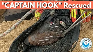 "Captain Hook" Rescued - 45min Seal Rescue