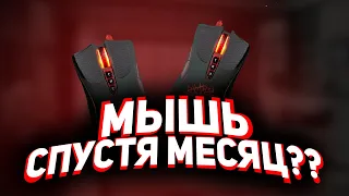 ЭТА МЫШЬ НЕ СТОИТ СВОИХ ДЕНЕГ RAZER DEATHADDER ELITE DESTINY 2  ( MINECRAFT RuHypixel.net )