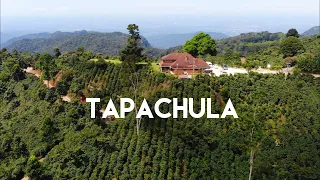 Tapachula, Tuxtla Chico and the Coffee Route in Chiapas - The gateway to the Soconusco