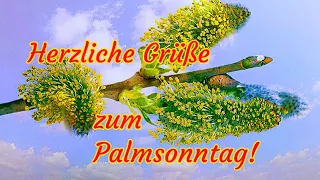 Einen Schönen Palmsonntag💐🌿 Herzliche Grüße zum Palmsonntag💖 Palmsonntag 2024🌷 Grüße für Dich💕