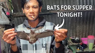 Exotic hunting & Tomohon market in North Sulawesi -- bat food, rats, snakes and more!