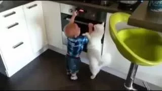 Cat Protects Baby Boy From Touching a Hot Stove