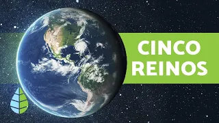 Los 5 REINOS de la NATURALEZA 🌍 y sus Características (para Niños)