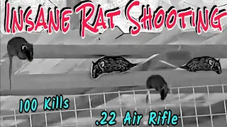 Insane Rat Shooting • 100's of Rats