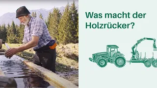 Was macht der Holzrücker? Arbeitsplatz Wald 🌳🌲 I Berufe in Wald & Forstwirtschaft