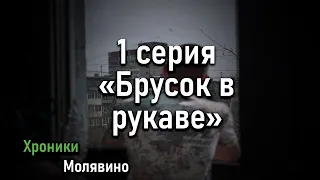 Хроники Молявино - Брусок в рукаве 1 серия 1 сезон (сериал, драма, Майнкрафт)