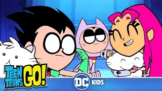 Teen Titans Go! En Latino | Más gatos 😻 gatos 😽 gatos 😼 | DC Kids