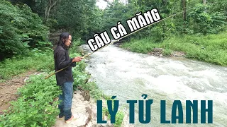 Câu Cá Mùa Mưa Lũ | Ẩm Thực Lý Tử Lanh