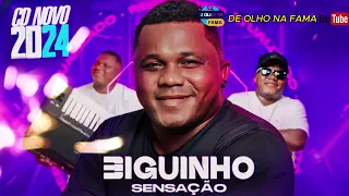 BIGUINHO SENSAÇÃO 2024, BIGUINHO SENSAÇÃO CD NOVO 2024, BIGUINHO SENSAÇÃO MEU XODO.