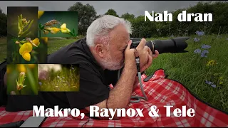 Landschaftsfotografie | Makrofotografie - Nah dran - mit dem Makro, Raynox und Tele...