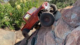 Axial Capra FJ45 and Super shafty Chupacabra