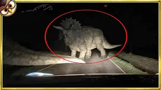 30 Dinosaurs Caught on Camera in Real Life