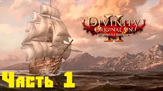 Divinity Original Sin 2 - Путешествие на Радость (Часть 1)