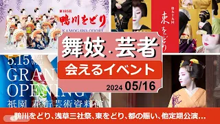 舞妓芸者さんイベント！鴨川をどり､浅草三社祭､東をどり､都の賑い､花街芸術資料館､上七軒ビアガーデン､各地定期公演。2024/05/16 #舞妓 #舞子 #芸者 #観光 #maiko #kyoto