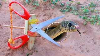 Easy Snake Trap | Quick Creative Method DIY Snake Trap Using Cutter That Work 100%